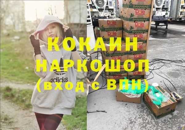 трава Няндома