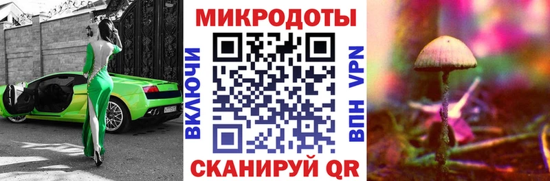 Галлюциногенные грибы GOLDEN TEACHER  Купить закладки  Дербент 